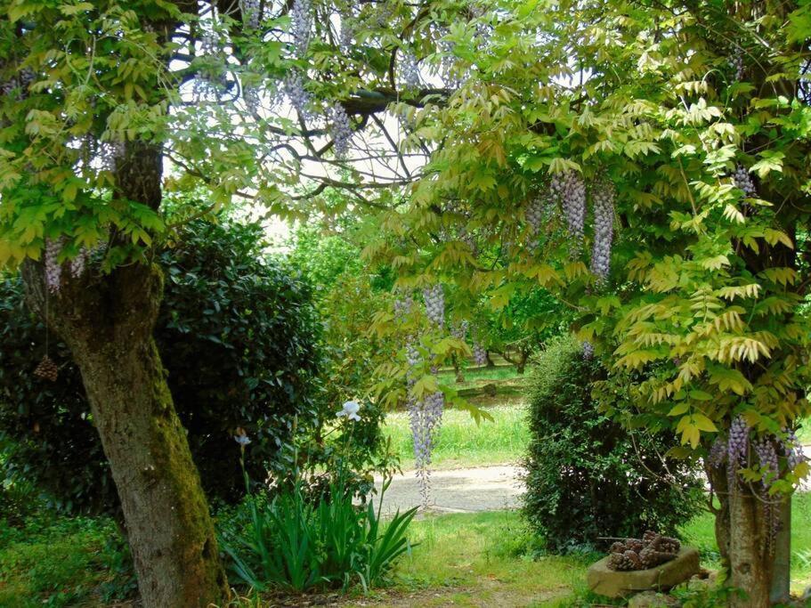 Mirathe Villa Baleyssagues Kültér fotó